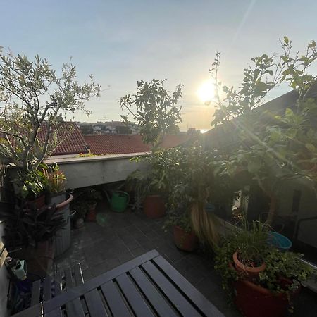Piccola Accogliente E Luminosa Camera In Appartamento Condiviso Con Terrazza Vista Mare ตรีเอสเต ภายนอก รูปภาพ
