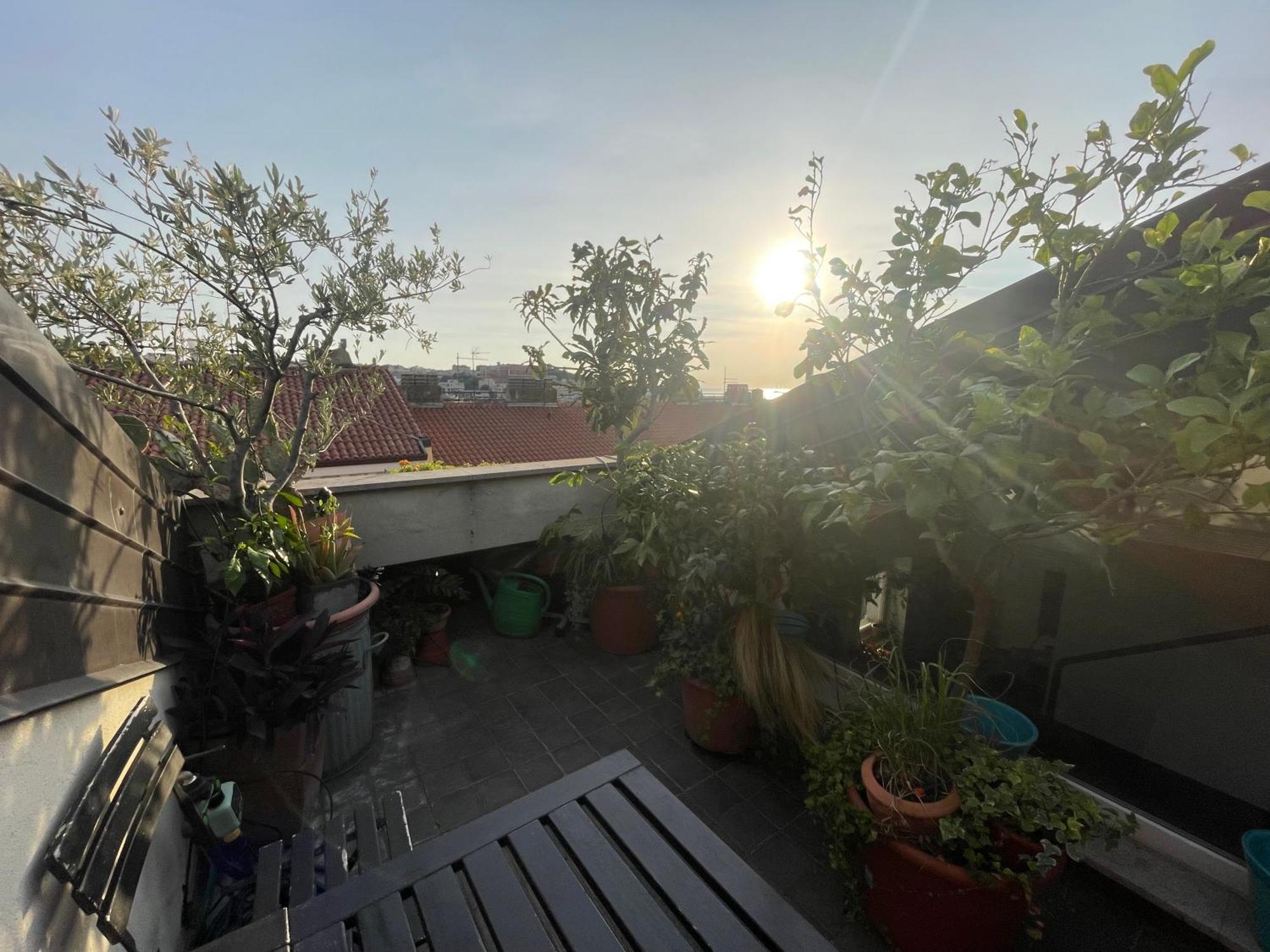 Piccola Accogliente E Luminosa Camera In Appartamento Condiviso Con Terrazza Vista Mare ตรีเอสเต ภายนอก รูปภาพ