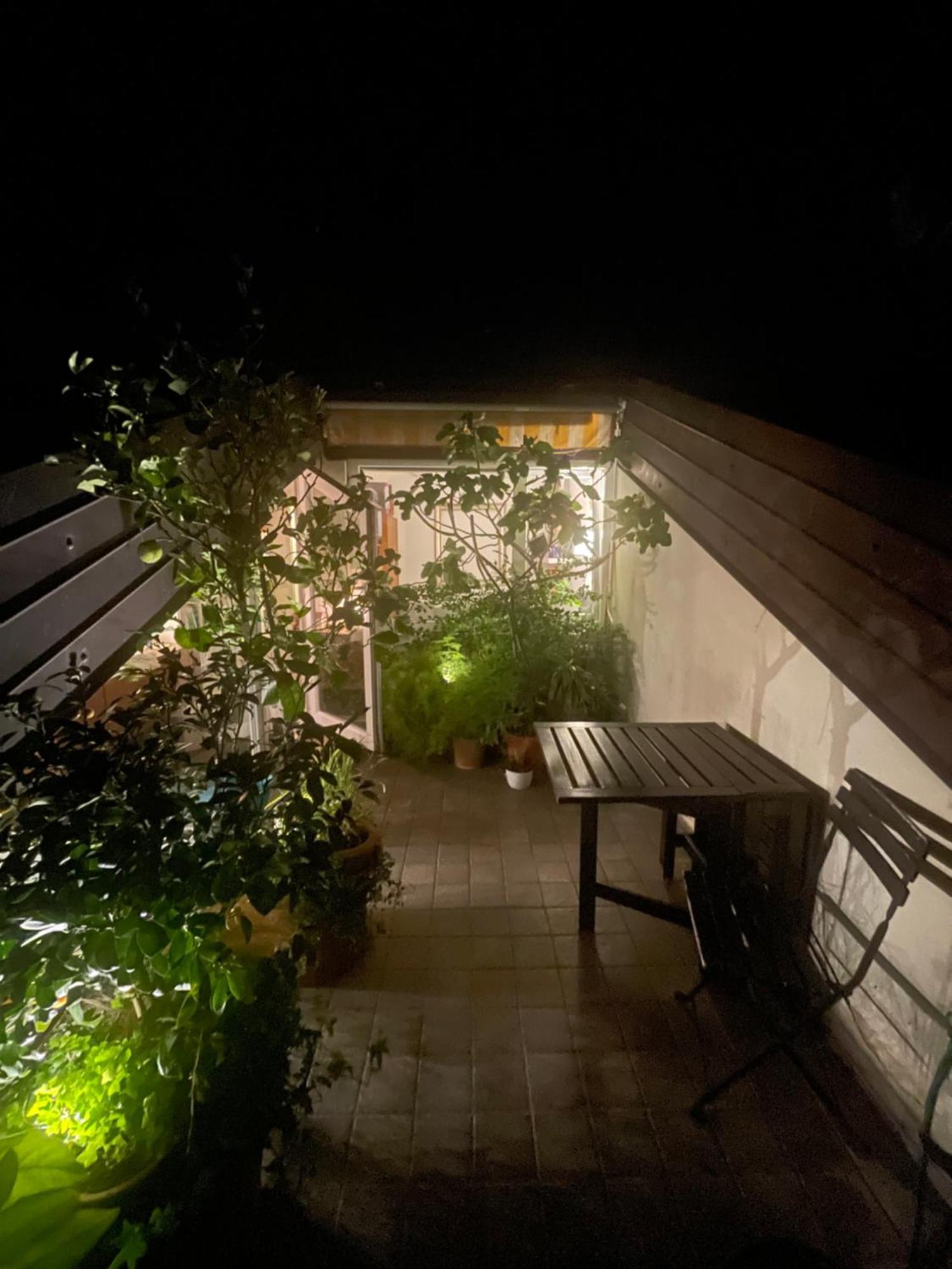 Piccola Accogliente E Luminosa Camera In Appartamento Condiviso Con Terrazza Vista Mare ตรีเอสเต ภายนอก รูปภาพ